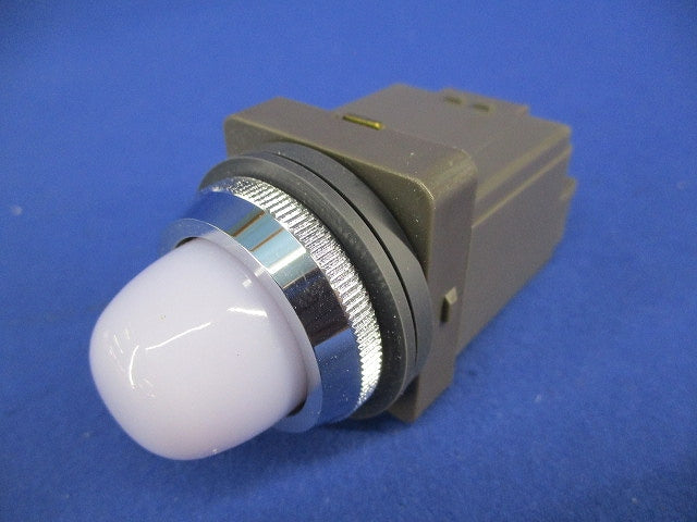 パイロットライトφ30(表示灯) APN116DNW