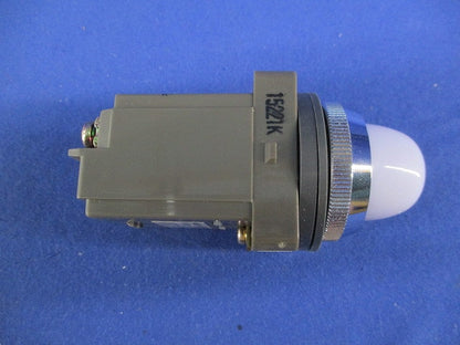 パイロットライトφ30(表示灯) APN116DNW
