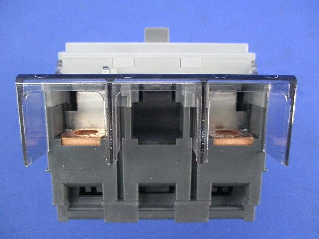 サーキットブレーカ2P100A BCW-100 BCW2100K