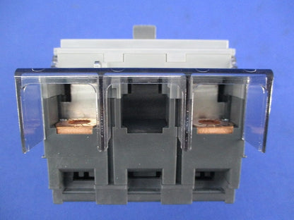 サーキットブレーカ2P100A BCW-100 BCW2100K
