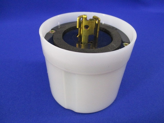 アイ光電式自動点滅器 PHM2010-2S