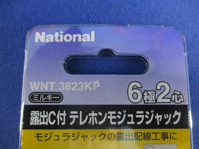 露出C付テレホンモジュラジャック6極2心(8個入)National WNT3823KP