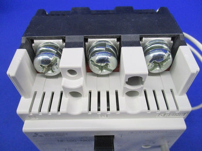 ノーヒューズ遮断器3P75A NF100-NKC