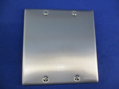 新金属カバープレート2連用(5枚入)National WN7592
