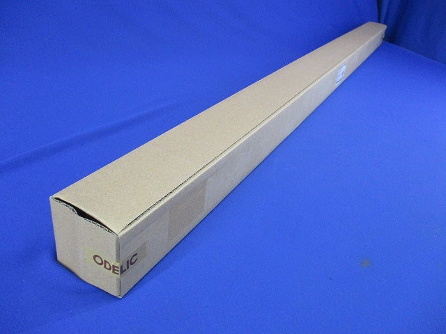 LEDベースライト(ランプ無)(新品未開梱) OL291573