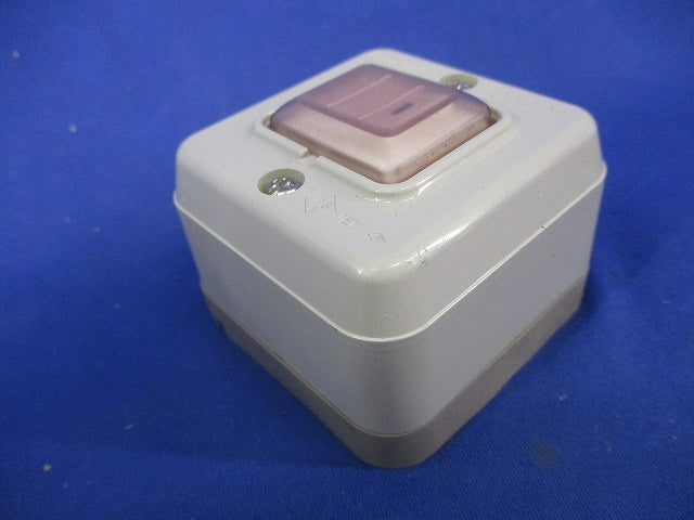 防雨露出スイッチB 片切(2個入) WS4021