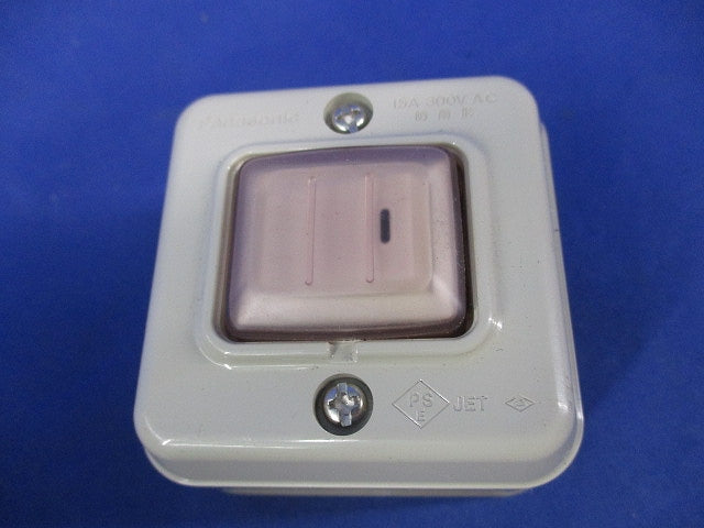 防雨露出スイッチB 片切(2個入) WS4021