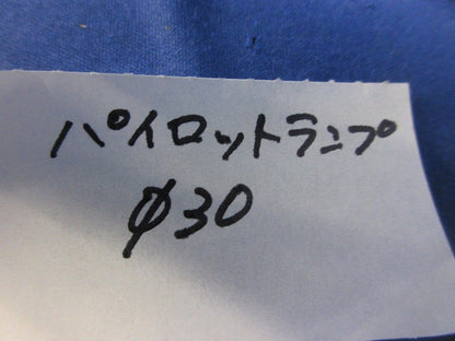 パイロットランプφ30 APD