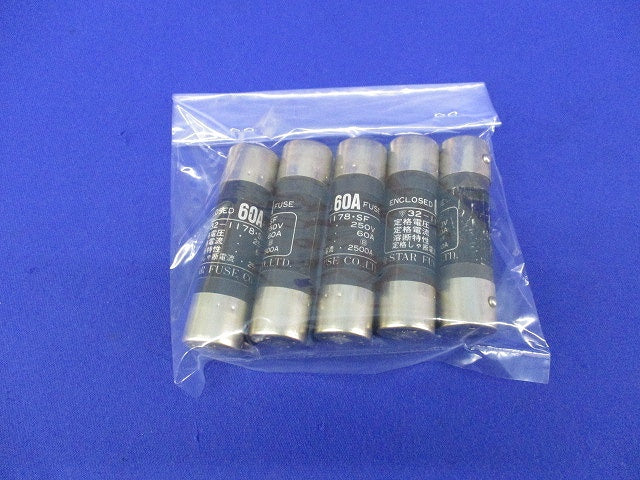 エンクロヒューズ60A(5個入) 型番不明