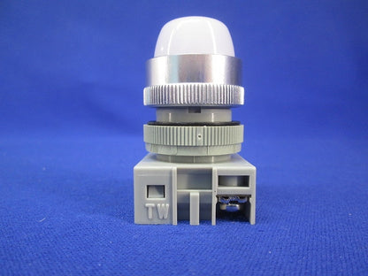パイロットライトφ22 APW