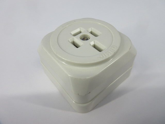 露出形接地極付コンセント(2個入) JE-4152