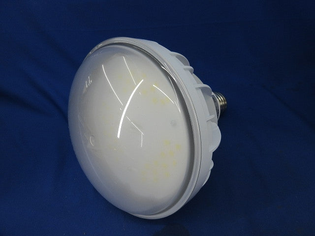 LEDアイランプ(30W／E39口金／昼白色5000K／白色) LDR30N-H-E39/W850
