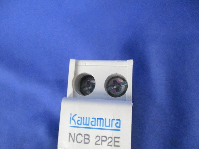 ノーヒューズブレーカ 2P2E20A NCB2P2E20