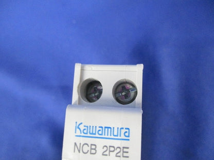 ノーヒューズブレーカ 2P2E20A NCB2P2E20