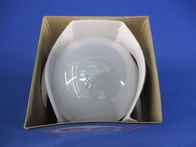 シリカ電球60Ｗ形 E26(5個入) LW100V57W55/1P