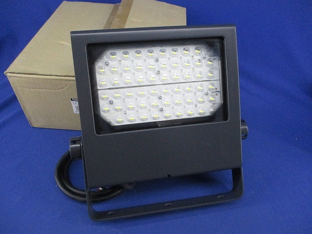 LED小形投光器(昼白色) LEDS-08909NF-LS9