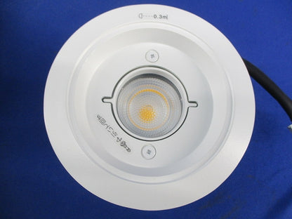 軒下用LEDダウンライト(拡散タイプ)(温白色)φ100 NDW27307W