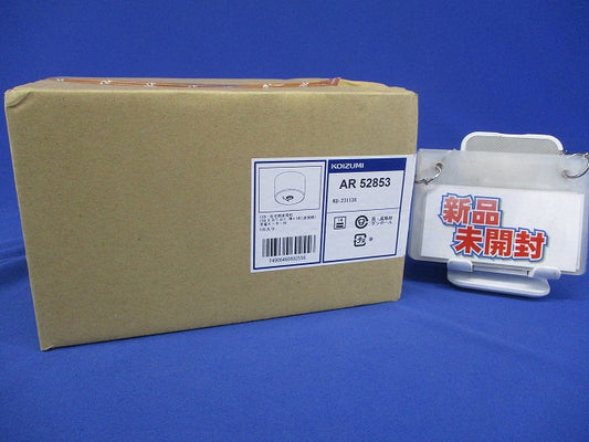 LED非常灯(住宅用・直付型・低天井小空間用・昼白色)23年製 AR52853