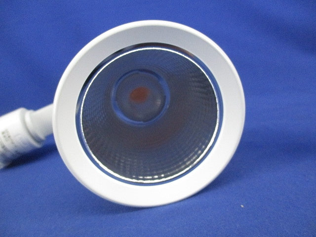 LEDスポットライト(電球色)(調光器別売)(箱違い) OS256436R