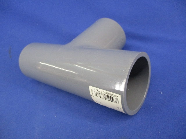 VPチーズ 40MM(6個入) 40