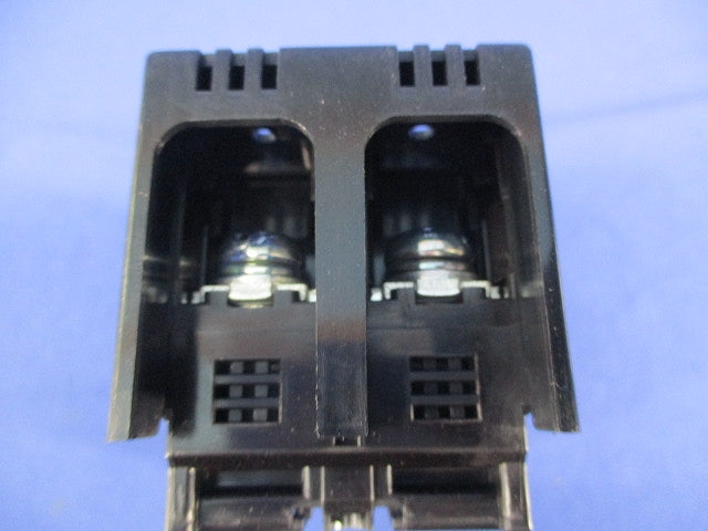 サーキットブレーカー2P2E60A NE102CA