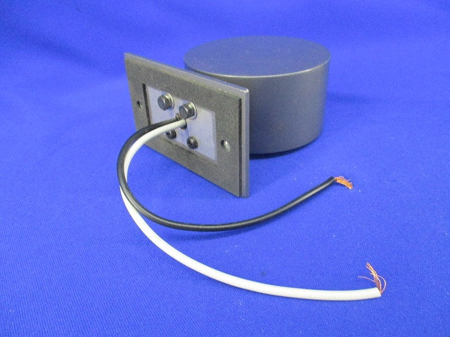 屋外用LEDブラケット(昼白色) NNY20220C-RRP