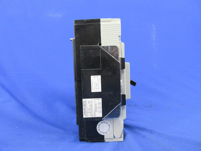 サーキットブレーカ3P175A EW250EAG
