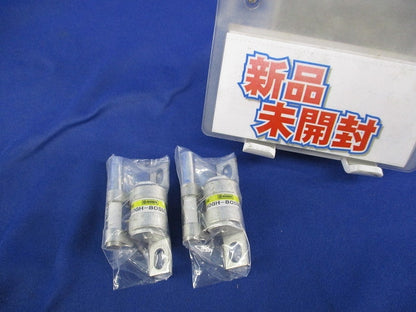 速断ヒューズ(2個入) 250GH-80SUL