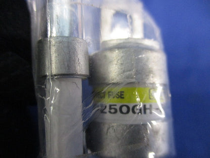 速断ヒューズ(2個入) 250GH-80SUL