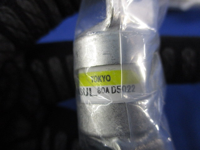 速断ヒューズ(2個入) 250GH-80SUL