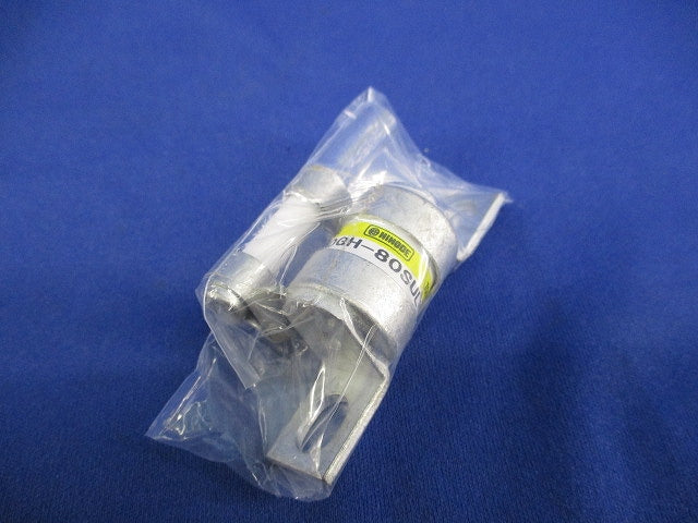 速断ヒューズ(2個入) 250GH-80SUL