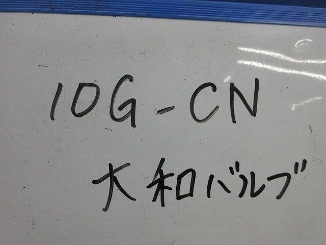 10K ゲートバルブ 10G-CN