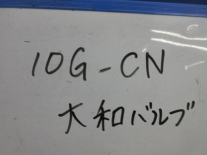 10K ゲートバルブ 10G-CN