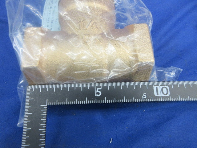 10K ゲートバルブ 10G-CN