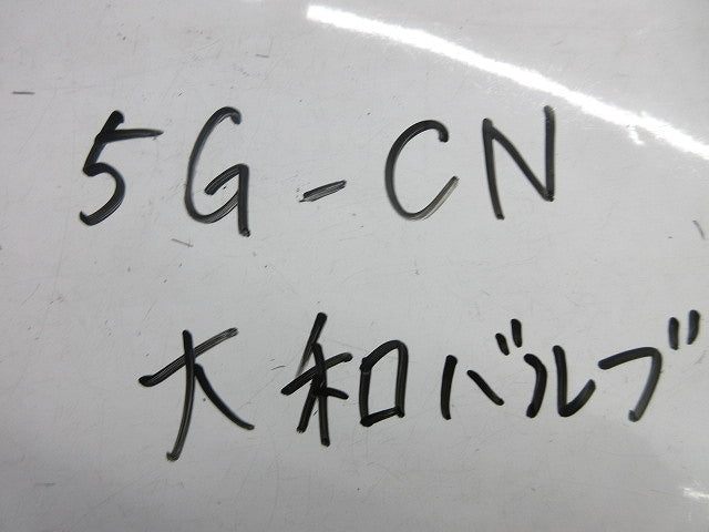 ゲートバルブ 5G-CN