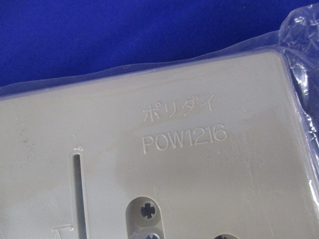 ポリダイ(ベ-ジュ)(2個入) POW1216