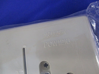 ポリダイ(ベ-ジュ)(2個入) POW1216
