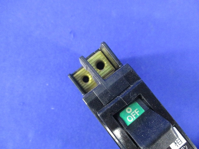 漏電遮断器2P1E20A FG52CN