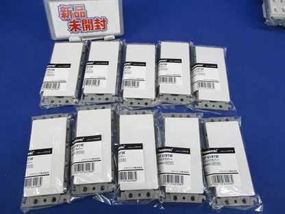 ブランクカバー(取付枠付)(10個入)(ホワイト) WT6191W