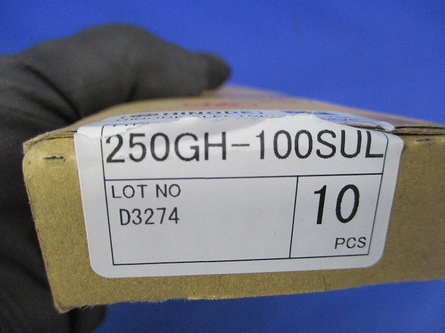 速断ヒューズ(10個入) 250GH-100SUL