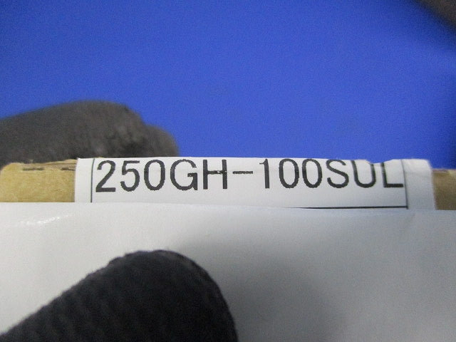 速断ヒューズ(6個入) 250GH-100SUL
