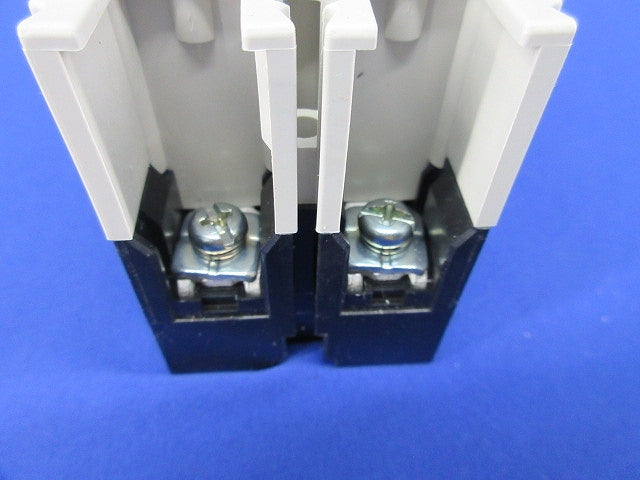 ノーヒュズスイッチ2P50A DSN63-CV