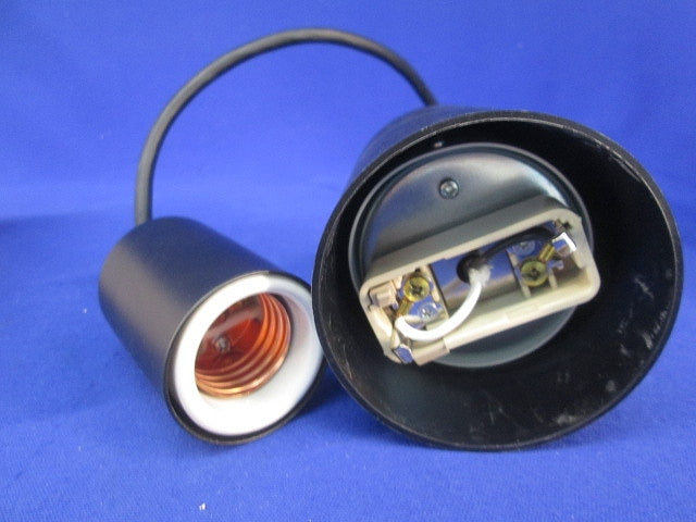 LEDペンダントライトE26(付属品無) AP49026L+LDST3L-G/K-1
