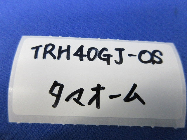 電力形不燃性塗料被覆巻線抵抗器(2個入) TRH40GJ-OS