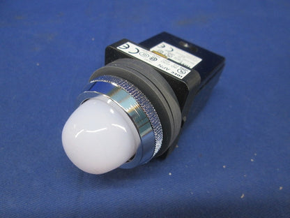 φ30丸形パイロットランプ(ホワイト) APN+TWR