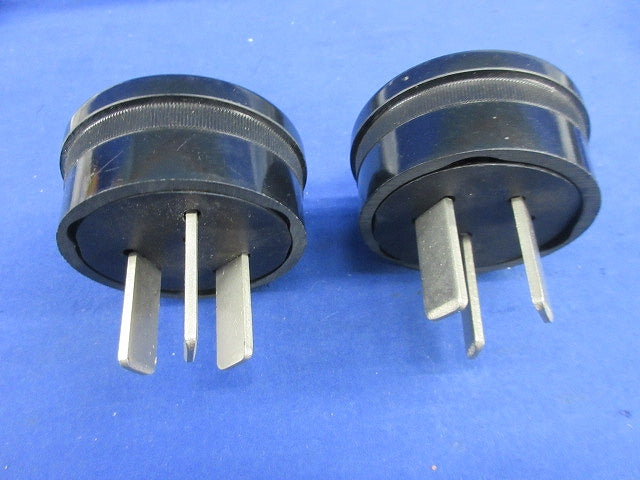3P30Aキャップ(2個入) WF5330