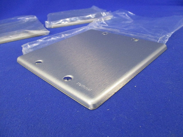 新金属カバープレート2連用(3枚入)National WN7592