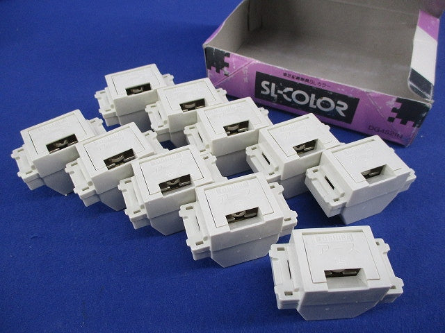 アースターミナル(フラットタイプ)(10個入) DG4521N