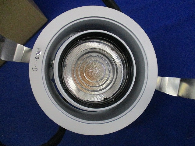 LEDダウンライトφ100(電球色)(電源ユニット別売) NTS62009W