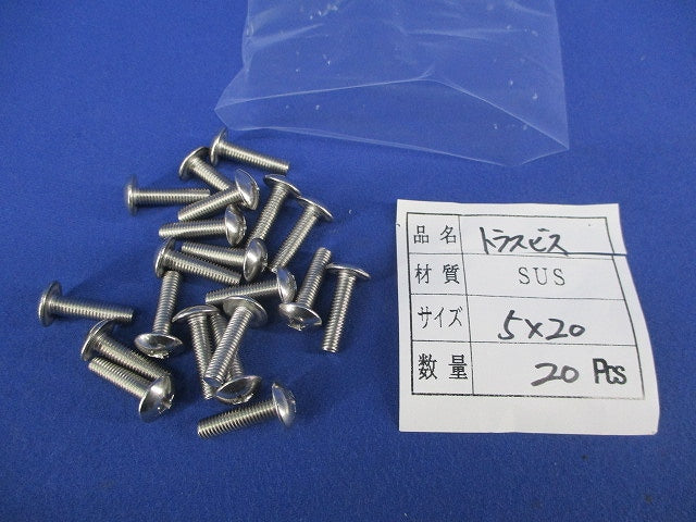 トラスビス5×20(ステンレス)(20個入) 5×20